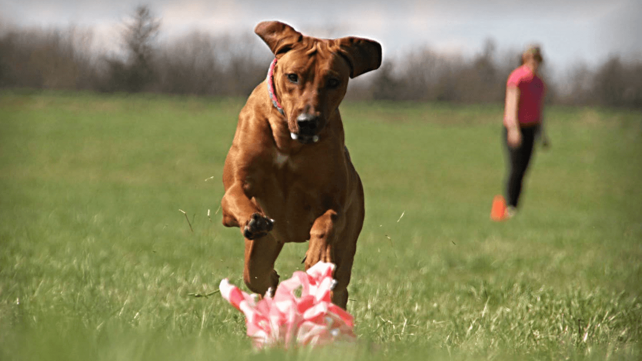 A takhle si hraje :-)